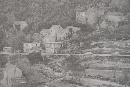 kucice_centar_svita